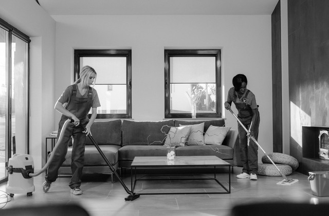 Domestic Cleaning