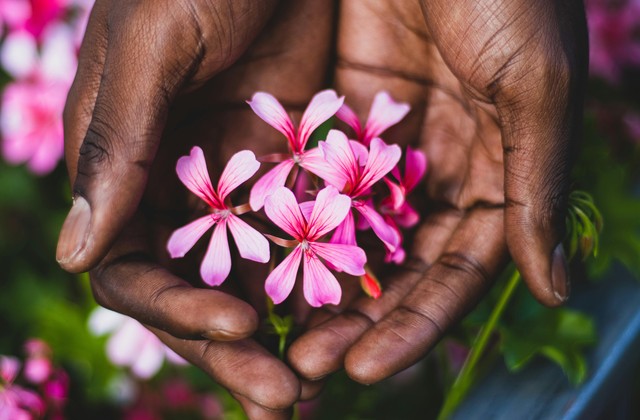 Gardening and landscaping services